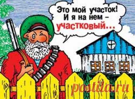 Девять дач » Откройте для себя нюансы того, как насолить соседу по даче