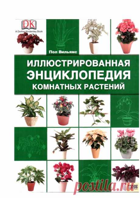 Энциклопедия комнатных растений. Пол Вильямс