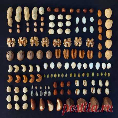Крепкий орешек: как правильно есть орехи | ПолонСил.ру - социальная сеть здоровья