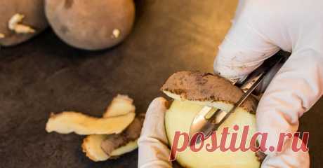 Картофельные очистки: чем полезны и как их использовать на даче