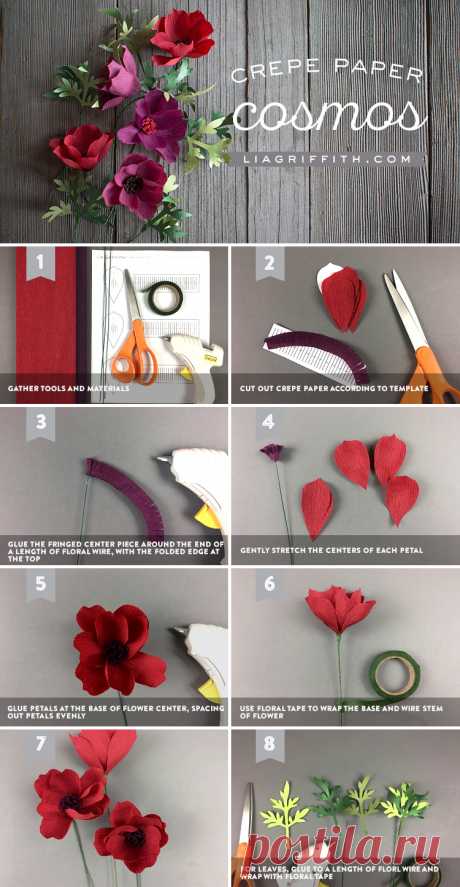 Crepe Paper Cosmos | Easy DIY Paper Flower for Beginners