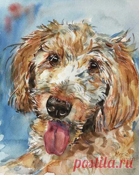 Golden Doodle by Maria Reichert Golden Doodle Painting by Maria Reichert