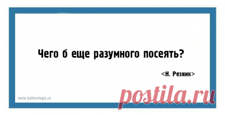 20 метких язвительных одностиший Натальи Резник на все случаи жизни