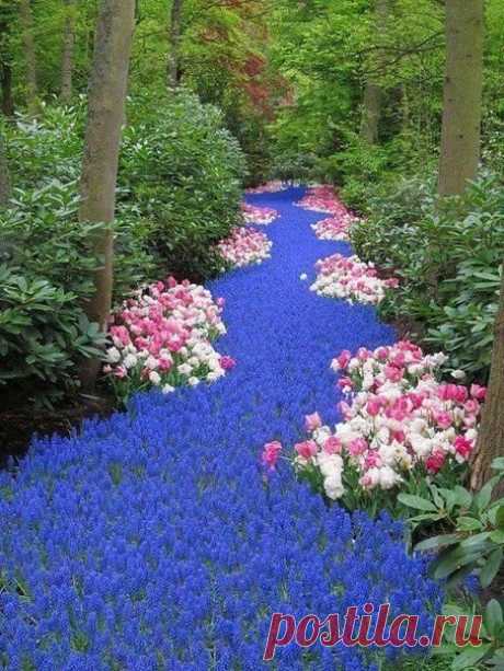 Река из цветов, Голландия