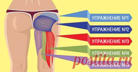 Как правильно накачать ягодицы