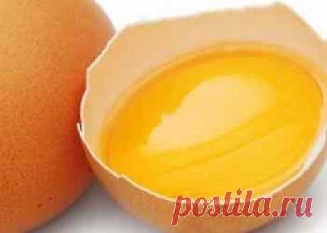 Свежие яйца - как правильно купить и проверить Как купить свежие яйца: маркировка и категории яиц. Как проверить свежесть яиц прямо в магазине, или в домашних условиях с помощью воды