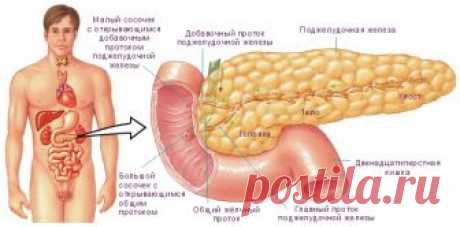 4 самых простых и эффективных рецепта для лечения поджелудочной железы, о которых врачи умалчивают