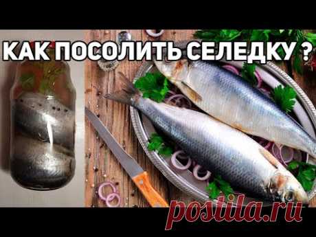 МАЛОСОЛЬНАЯ СЕЛЕДКА СВОИМИ РУКАМИ