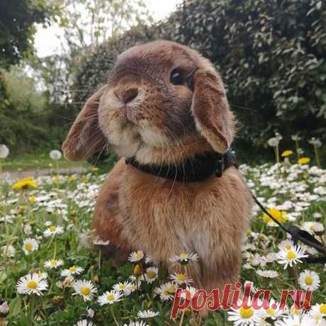 Photo by Lori T. Dean 🐰 on September 09, 2020. На изображении может находиться: на улице.