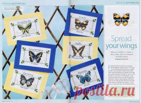 Tropical Butterflies
778х567