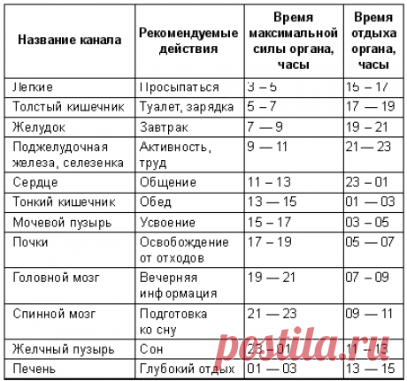 работа органов организма по часам: 10 тыс изображений найдено в Яндекс.Картинках