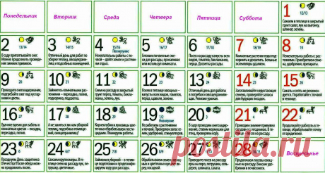 Календарь работ дачника по лунным фазам, февраль 2015