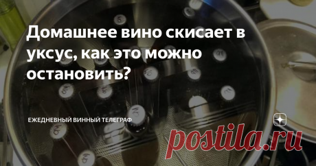 Домашнее вино скисает в уксус, как это можно остановить? Какими методами можно остановить размножение уксуснокислых бактерий? Как это отразится на самом вине?
В среде домашних виноделов на тему «скисания вина в уксус» существует огромное количество мифов и довольно странных ошибочных представлений и практик по борьбе с этим дефектом вина. Обычно, когда где-то на каком-то форуме или ином сообществе, кто-то из начинающих виноделов спрашивает «Что делать,