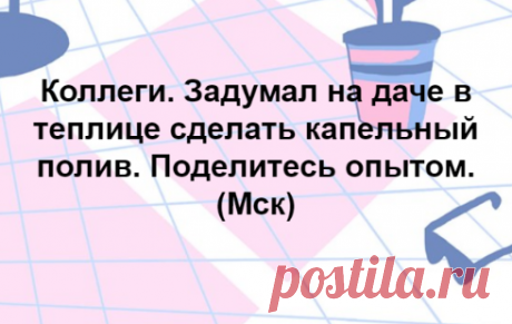 Советы по капельному поливу для новичков и бывалых дачников