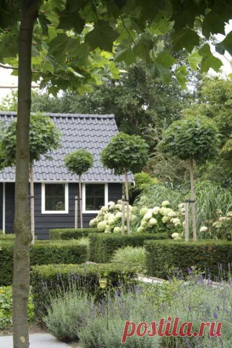 Красота по-голландски. Сад от Buro Robert Broekema - Дизайн интерьеров | Идеи вашего дома | Lodgers