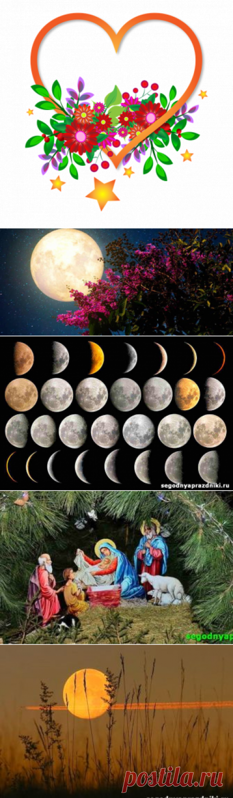 Посевной лунный календарь садовода и огородника на февраль 2022