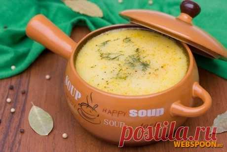 Суп с белыми грибами и плавленым сырком с фото | Рецепт супа с грибами и плавленым сырком на Webspoon.ru