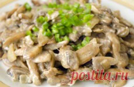 Пошаговые рецепты с фото - простые и вкусные