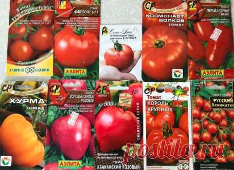 Как вырастить помидоры на балконе: практические советы и рекомендации