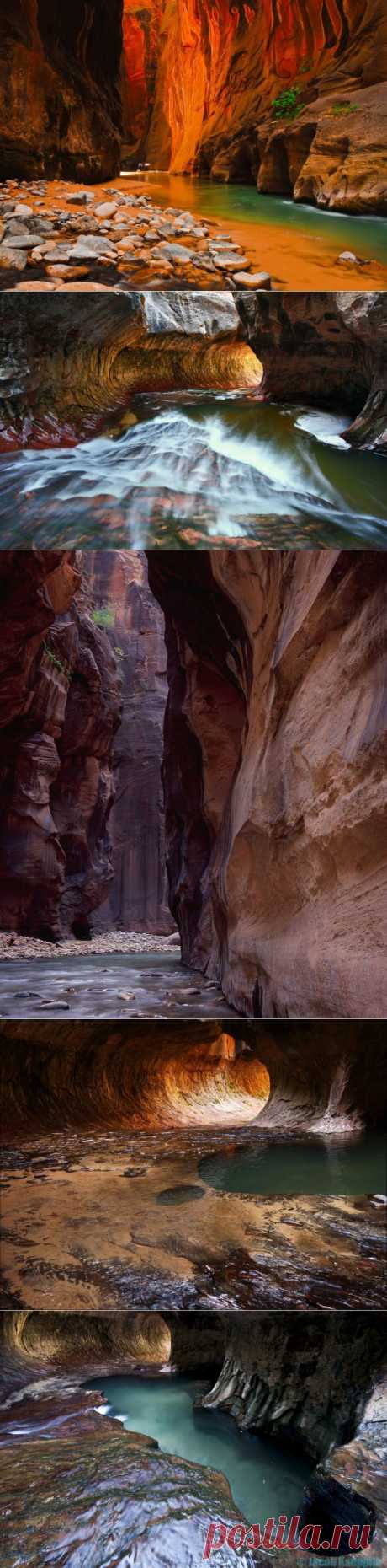 Впечатляющие формы каньона Зайон (Zion Canyon) | Newpix.ru - позитивный интернет-журнал