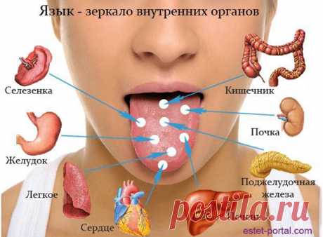 Проверьте себя! Язык расскажет о проблемах в организме 
Знаете ли вы, что язык - это не только орган вкуса и речи, но и верный отпечаток внутреннего состояния всего нашего организма? И в европейской, и в восточной медицине виду языка в диагностических цел…