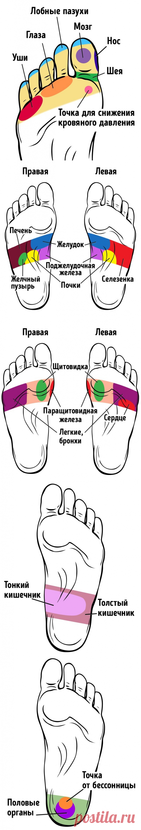 21 точка на стопах, массаж которых улучшает самочувствие