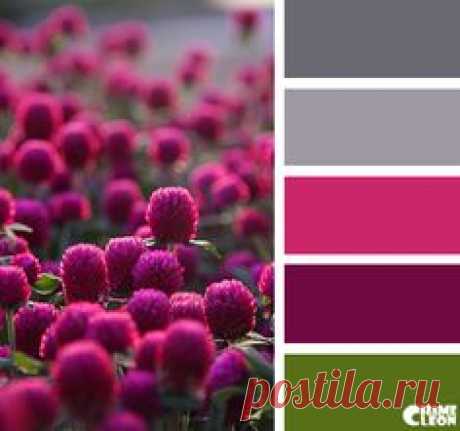 Color Palette LKnits.com