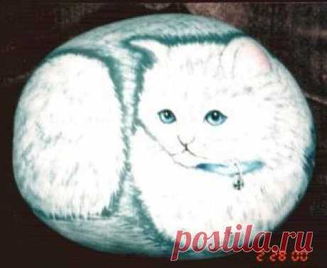 rockpaintingiii: View Photo: Persian Cat