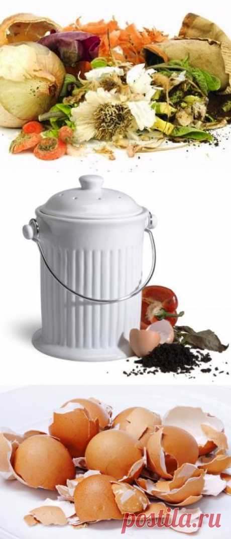 (+1) тема - Кухонные отходы—органическое альтернативное удобрение | 6 соток