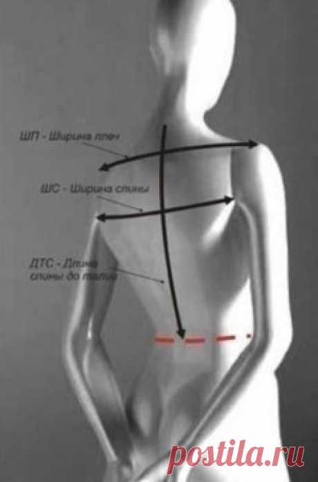 Как снять мерки для выкройки ⁉