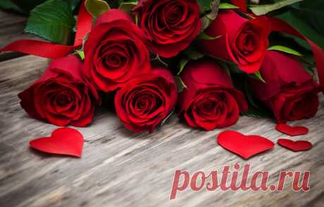 Rose 49754_ 花 写真 _Flower class_ Gallery Wallpaper_68Design