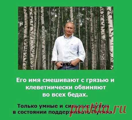 Анатолий: Жизнь прекрасна и удивительна, во всех её проявлениях. Да вот ещё: Терпеть не могу шансон.