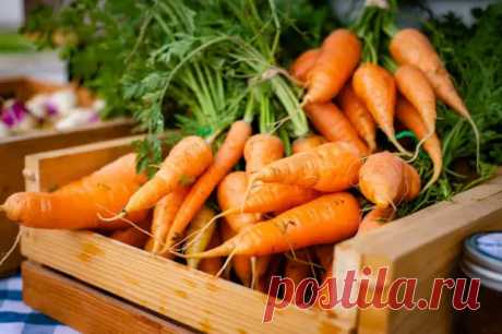 Великий пост: лучший рецепт моркови по-корейски - на самом деле все проще простого - ВК Пресс - 7 апреля - Медиаплатформа МирТесен