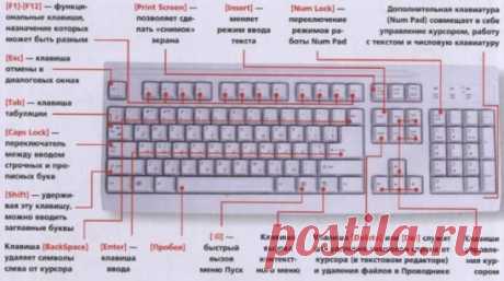 ЗНАЕТЕ ЛИ ВЫ КЛАВИАТУРУ НА СВОЁМ КОМПЬЮТЕРЕ?