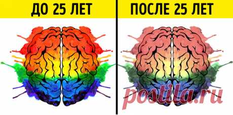 10 научных открытий, о которых стоит узнать, если вам важно ваше здоровье. В 25 лет начинается старение мозга...

Ученые из Гданьского медицинского университета (Польша) и из Ланкастерского университета (Великобритания) научились следить за пульсацией спинномозговой жидкости. Благодаря этому удалось установить, что частота пульсации спинномозговой жидкости замедляется начиная с 25-летнего возраста, а это означает, что мозг человека начинает стареть уже с 25 лет, а не с 40, как считалось ранее.