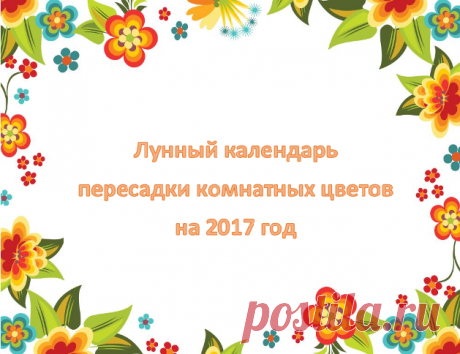 Лунный календарь пересадки комнатных растений на 2017 год | Красоты земли