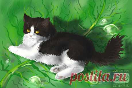 Alina`s cat Ksenia (2). Trade by Romashik-arts on DeviantArt