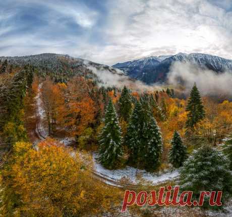 Рицинский реликтовый национальный парк в ноябре. Автор фото – Фёдор Лашков: nat-geo.ru/photo/user/27510/