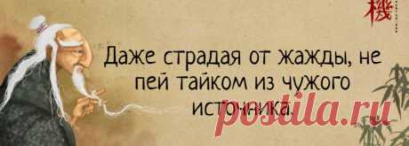 5 мудрейших японских пословиц, которые изменили мой взгляд на жизнь | Мадам Хельга | Яндекс Дзен