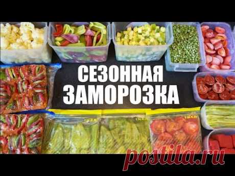 Сезонная ЗАМОРОЗКА овощей на зиму - YouTube