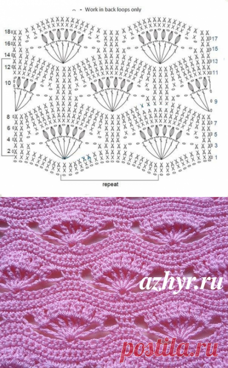 Узор крючком ажурные ракушки | АЖУР - схемы узоров