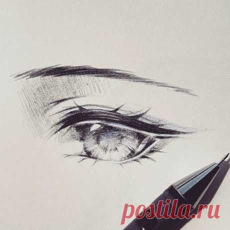 Somehow instagram is being weird and made the video rotated to the other side :( So instead i'll just post the result then. -
#drawing #sketch #doodle #eye #wip #workinprogress #animeeyes #manga #anime #animedrawing #illustration