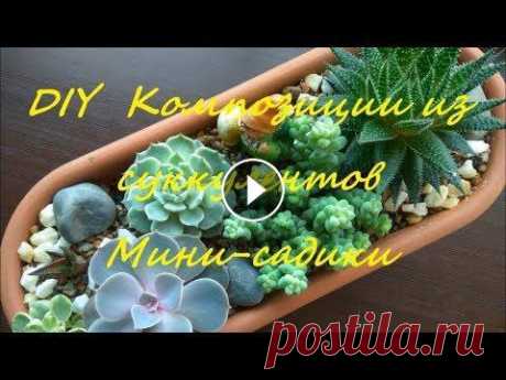 DIY  Композиции из суккулентов Мини-садики DIY the Composition of succulents Mini gardens Вместе с Вами сделаем мини-садик или композицию из суккулентов. Подходите творчески к созданию своих садиков, чтобы они радовали Вас и Ваших близких))...