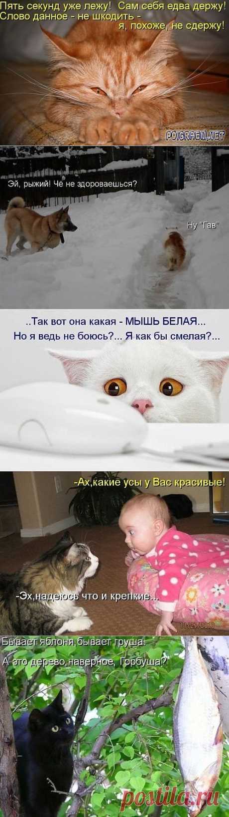 Позитивные фото.