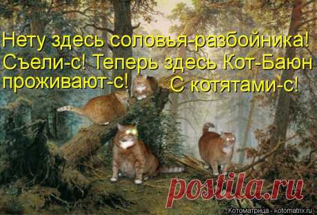 Котоматрица: Главная