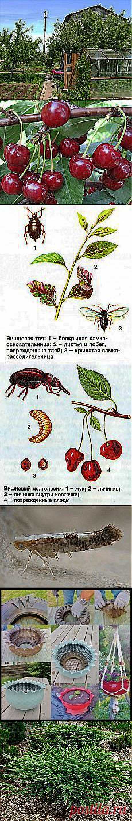 Татьяна Макарова: Для дома и дачи | Постила