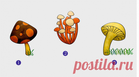 Тест в картинках: выбранный гриб раскроет сильные и слабые стороны вашего характера

Читай дальше на сайте. Жми подробнее ➡
