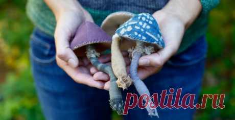 mushroom : booklet – ann wood handmade