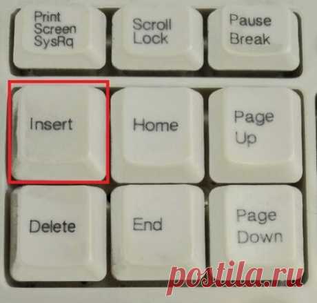 Зачем нужна клавиша Insert на вашей клавиатуре? Она отвечает за одну интересную функцию | АйТиЗавр | Яндекс Дзен