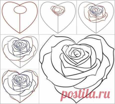 How to Draw a Rose from a Heart